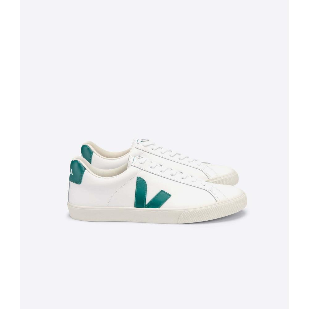 Veja ESPLAR LEATHER Tenisky Damske White/Green | SK 619KOR